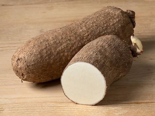 Wild Yam, an ingredient in AlphaFuel Pro